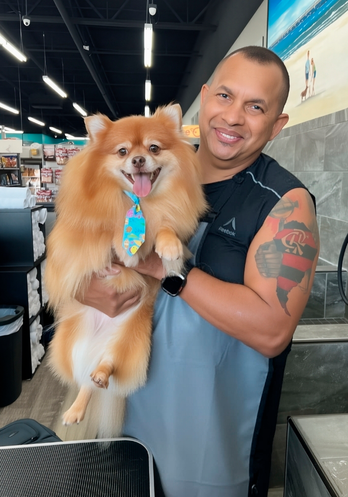 Professional pet groomer