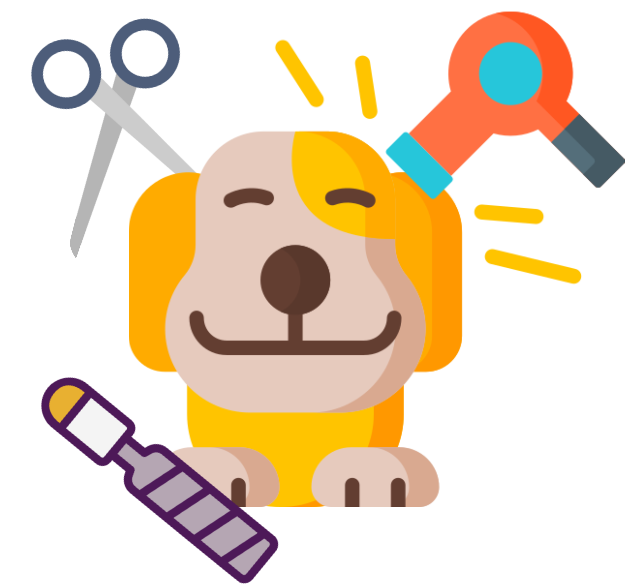 Complete bath and grooming service